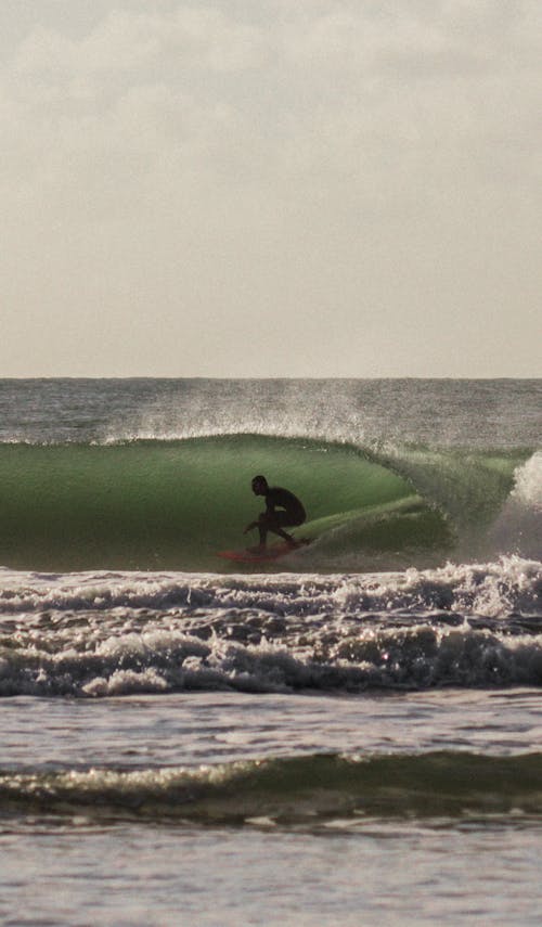 Foto d'estoc gratuïta de , aigua, fent surf