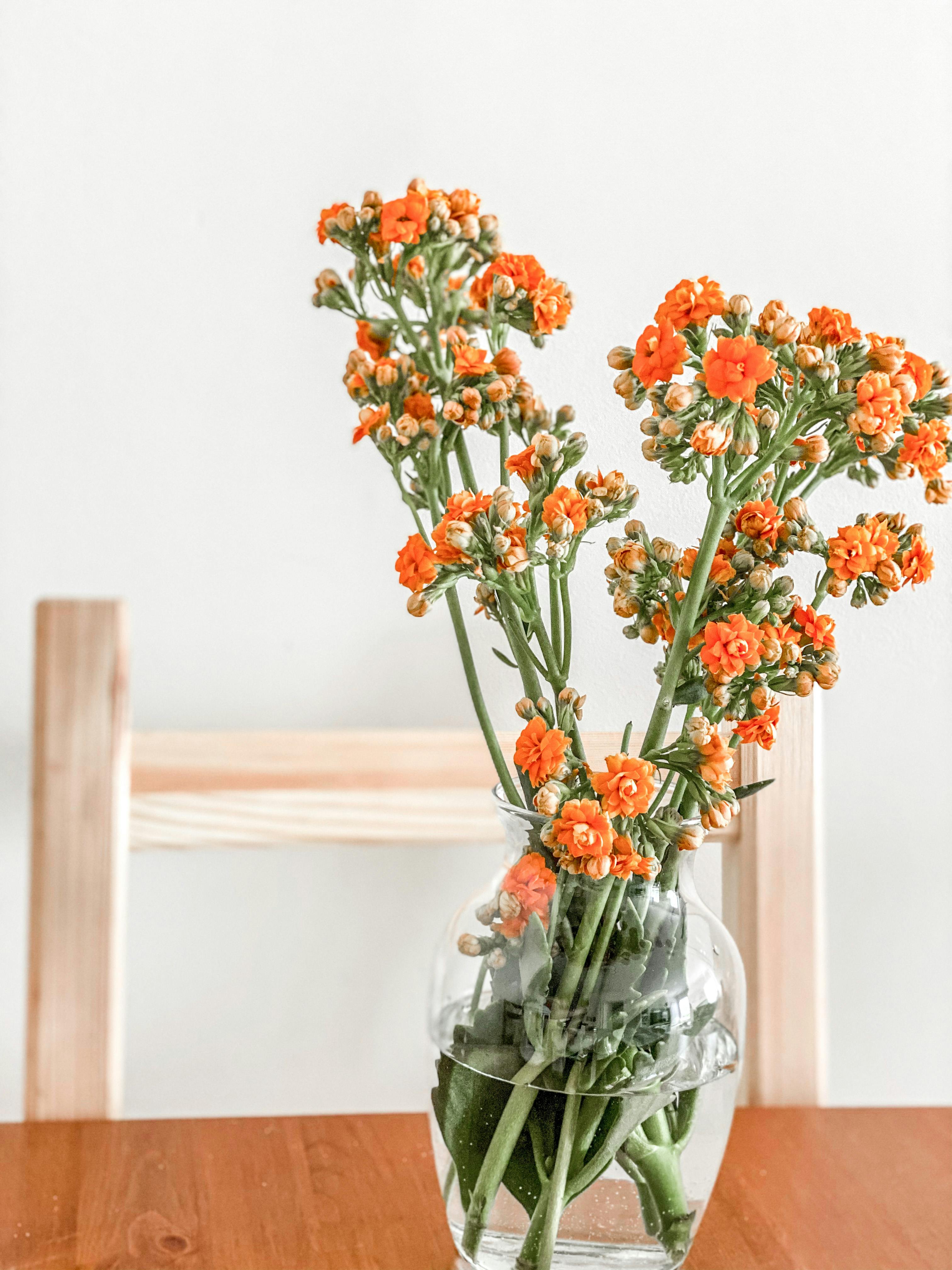 Roses in a Glass Vase · Free Stock Photo