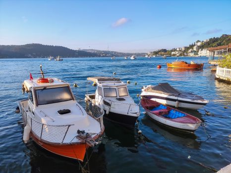 Boats Moored at Berth
