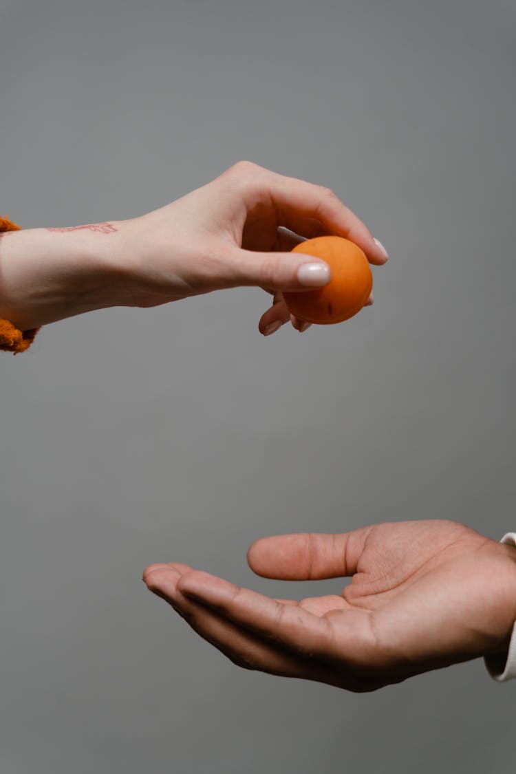 A Person Holding An Orange Fruit 