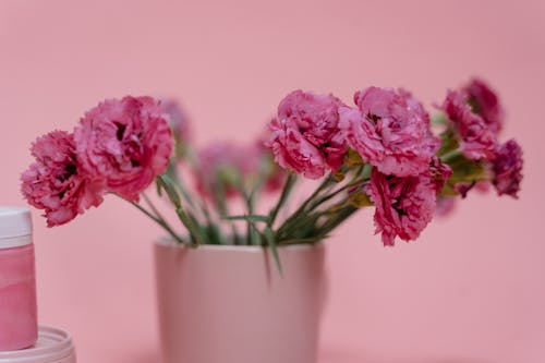 Pink Flowers in Pink Ceramic Vase