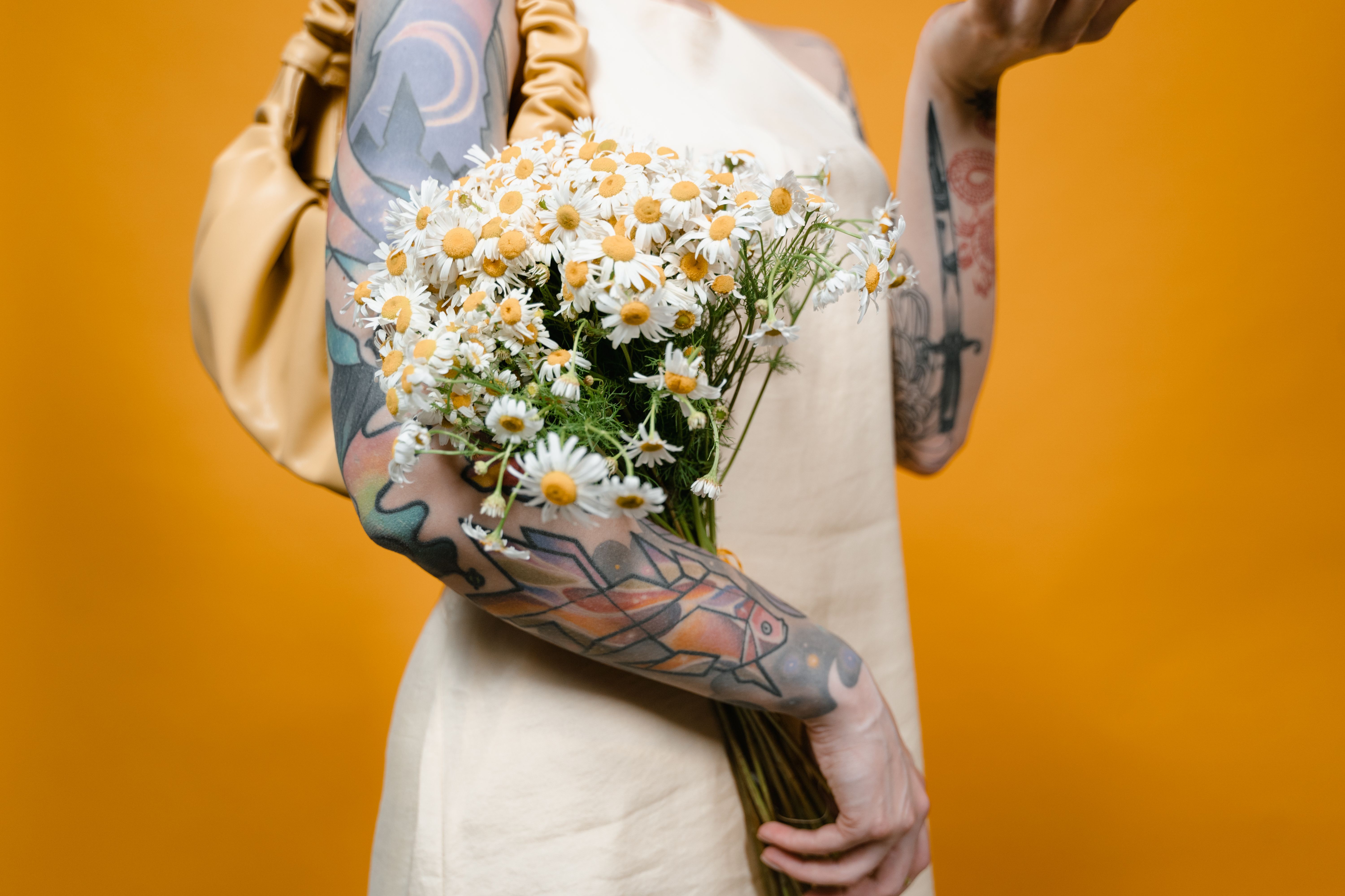 Color Contrast for Studio Brand