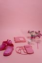 Pink Rubber Clogs near Pink Bags on Pink Bakcgorund