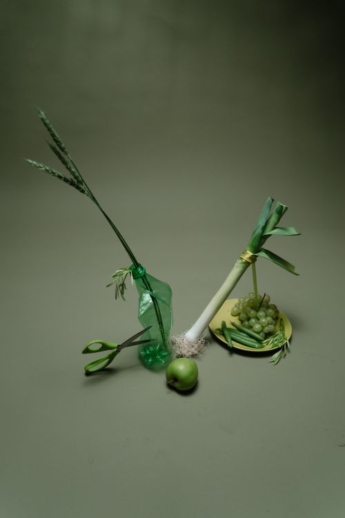 Free Artistic still life featuring green fruits, vegetables, and plants on a muted background. Stock Photo