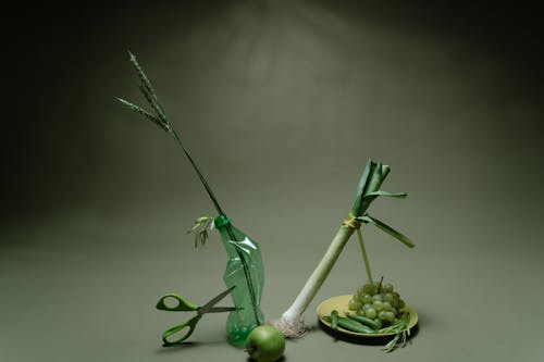 Green and Brown Fruit With Green Leaves