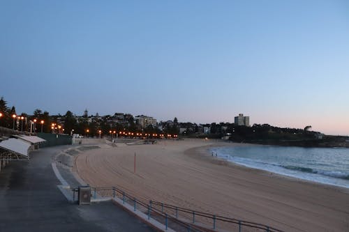 Free stock photo of coogee