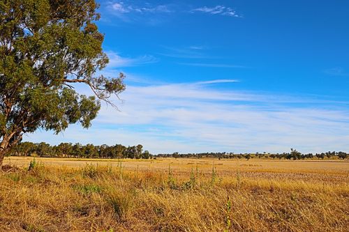 Free stock photo of country Stock Photo