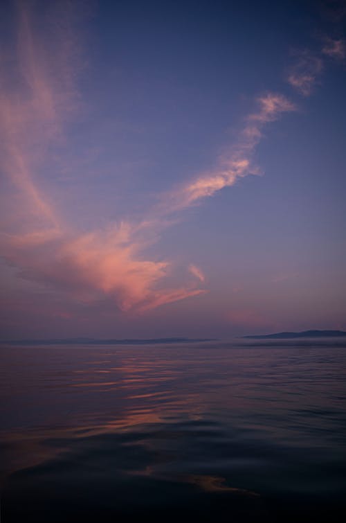 구름, 바다, 바이올렛의 무료 스톡 사진