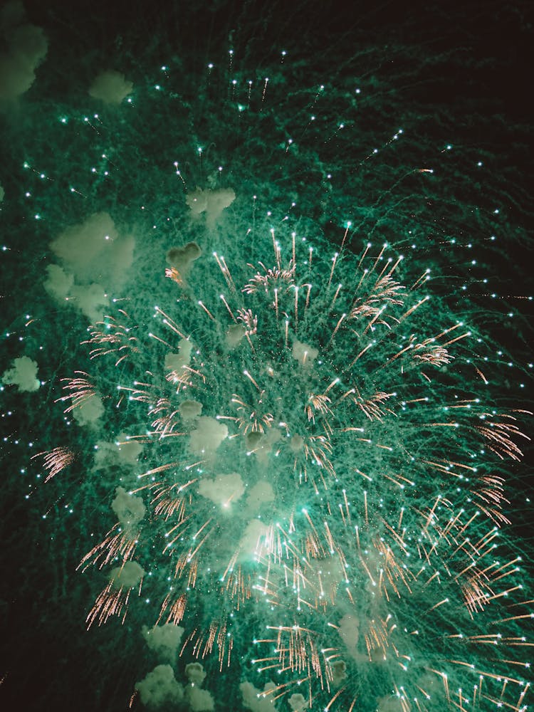 Green Fireworks In The Night Sky