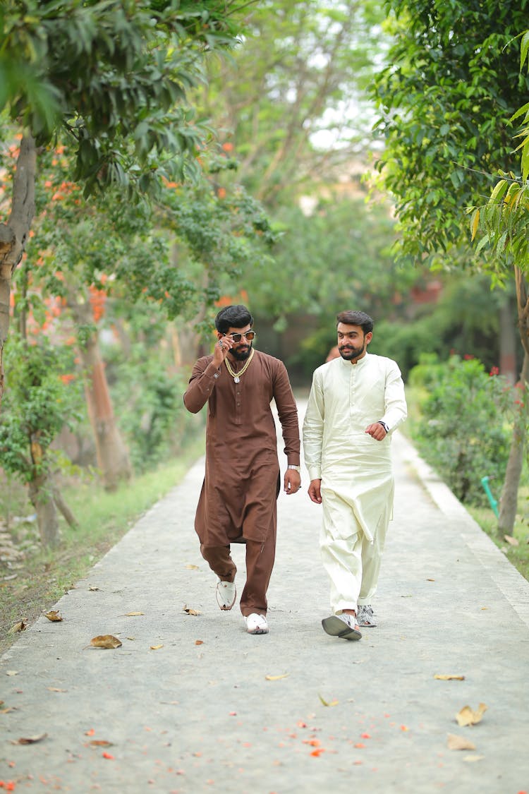 Two Bearded Men Walking In Park And Lively Talking