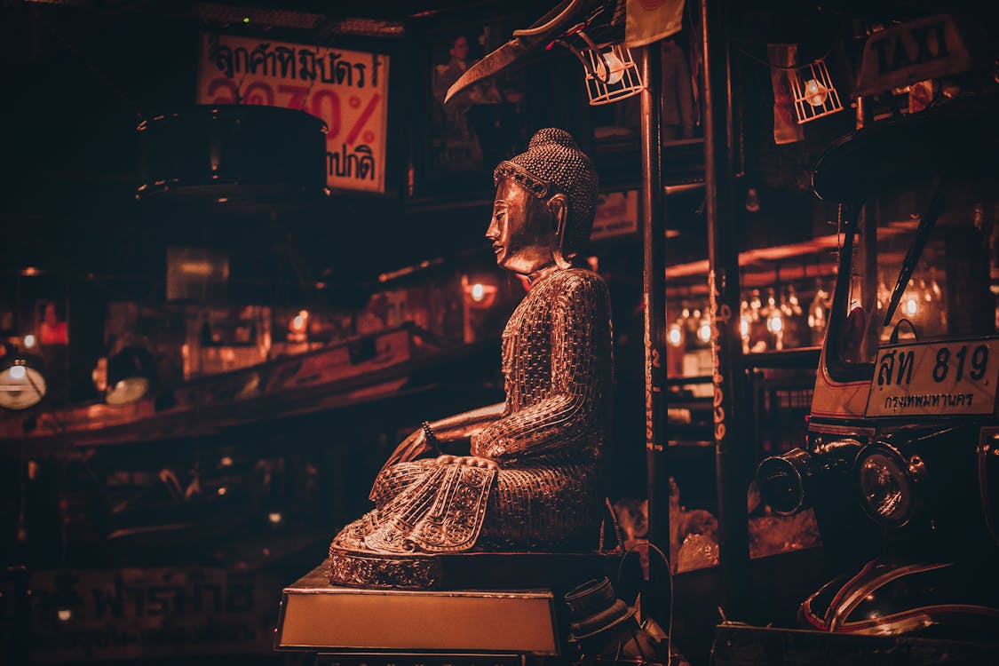 Free stock photo of adult, bar, buddha