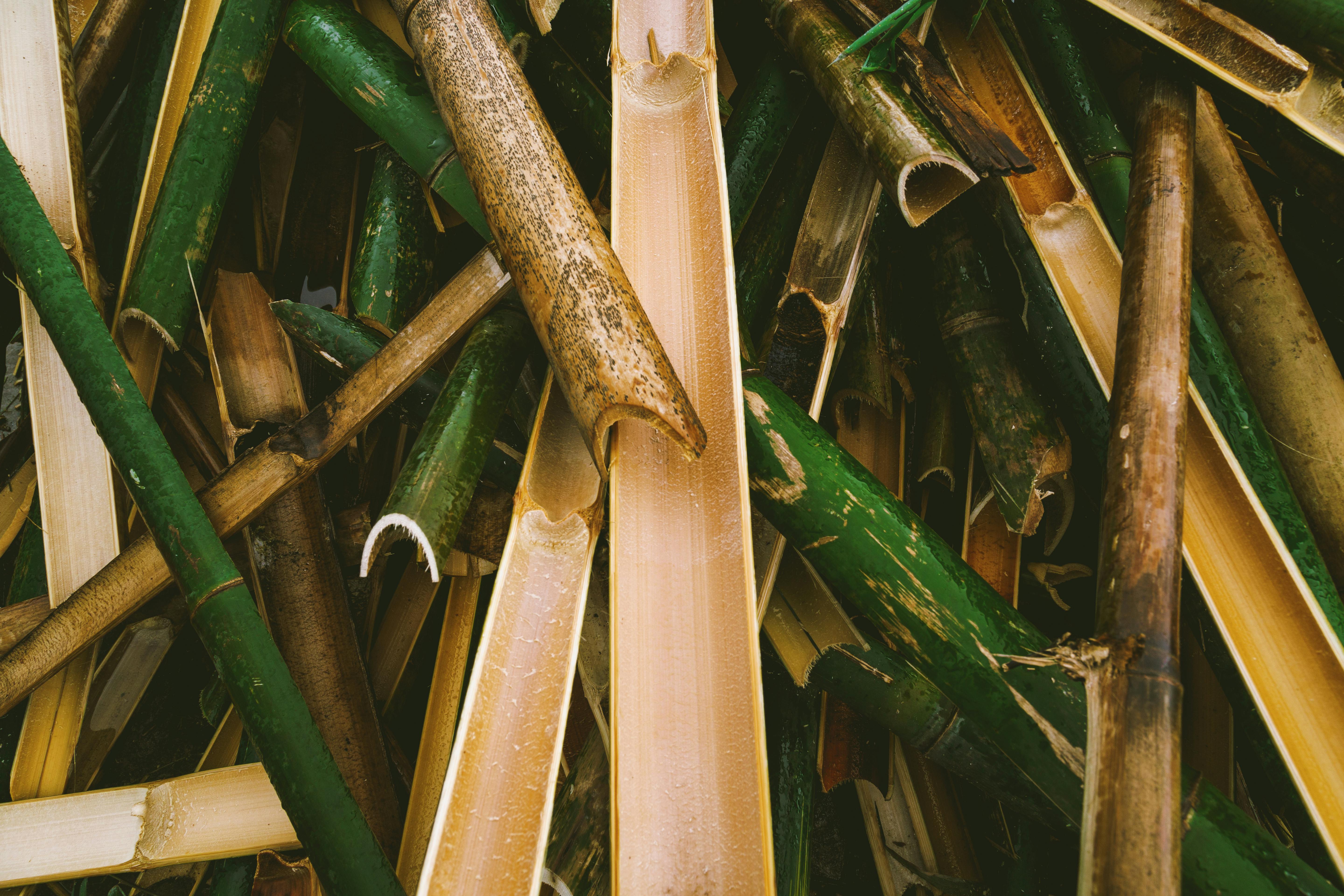 Bamboo flooring is durable and eco-friendly - sustainable wood flooring