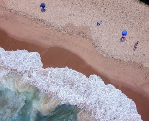 Aerial Photography of People on the Shore with Seafoam 
