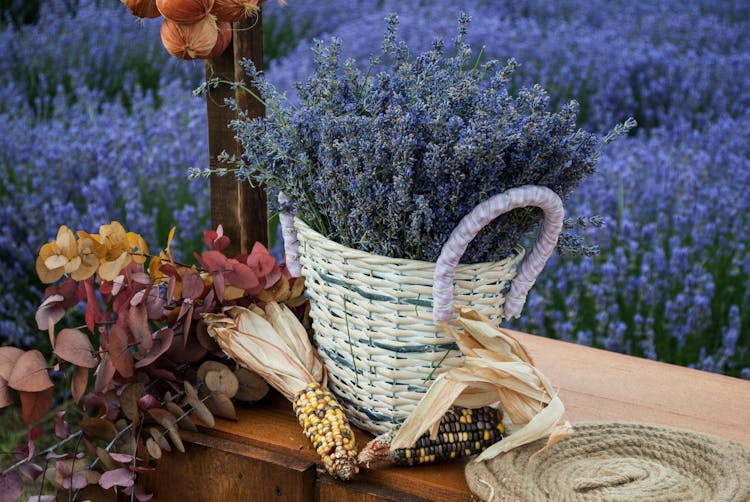 Lavender Flowers In A Woven Basket 