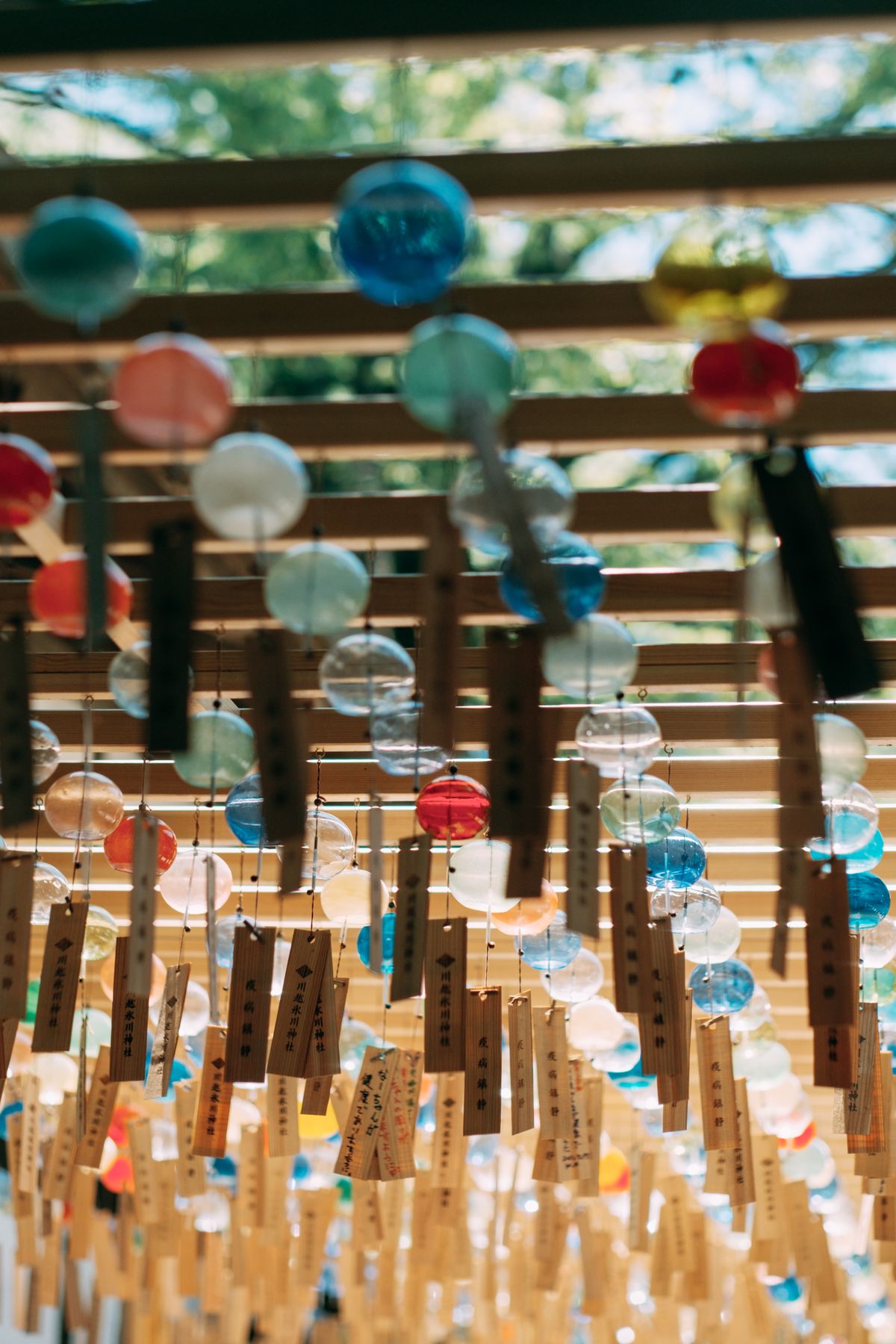 Hundreds of colorful glass wind chimes hanging at Hikawa Shrine in Kawagoe, Japan
