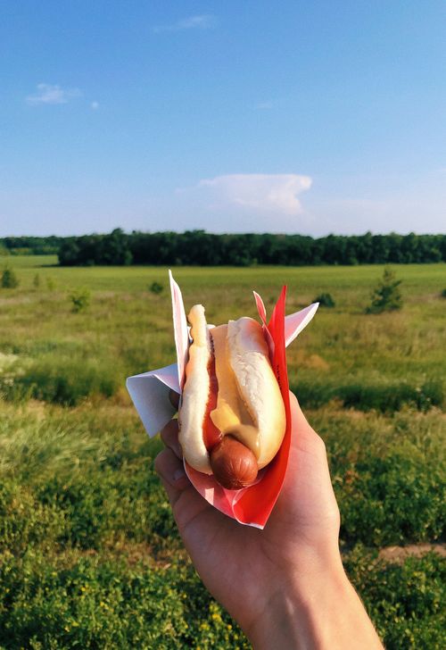 Free A cozy outdoor picnic setting with a hot dog held in hand against a green landscape. Stock Photo