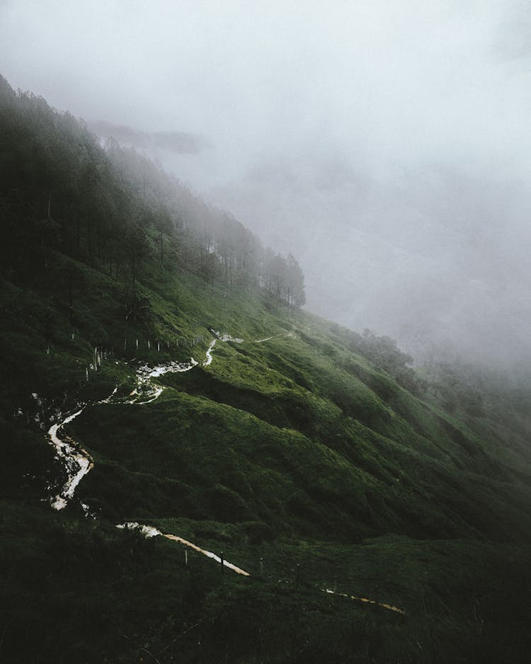 Landscape Of Green Foggy Mountains 