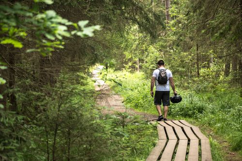 Free Man with backpack walks along wooden path surrounded by lush green forest. Stock Photo