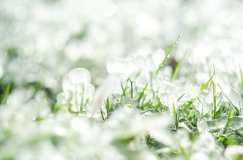 On This Date, Kansas Weather Made Hail History