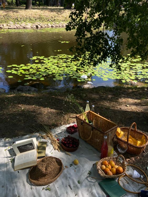 Picnic Node Picnic next to Pond · Free Stock Photo