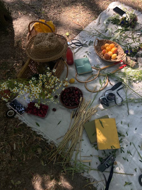 Fotos de stock gratuitas de básquet, cámara, cerezas