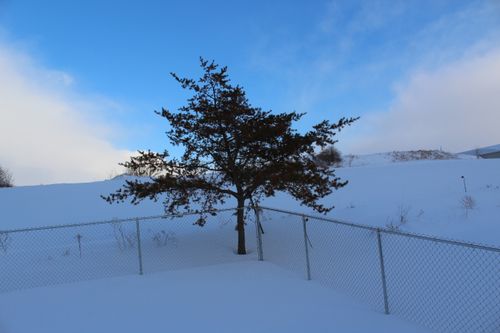 Free stock photo of winter in wisconsin Stock Photo
