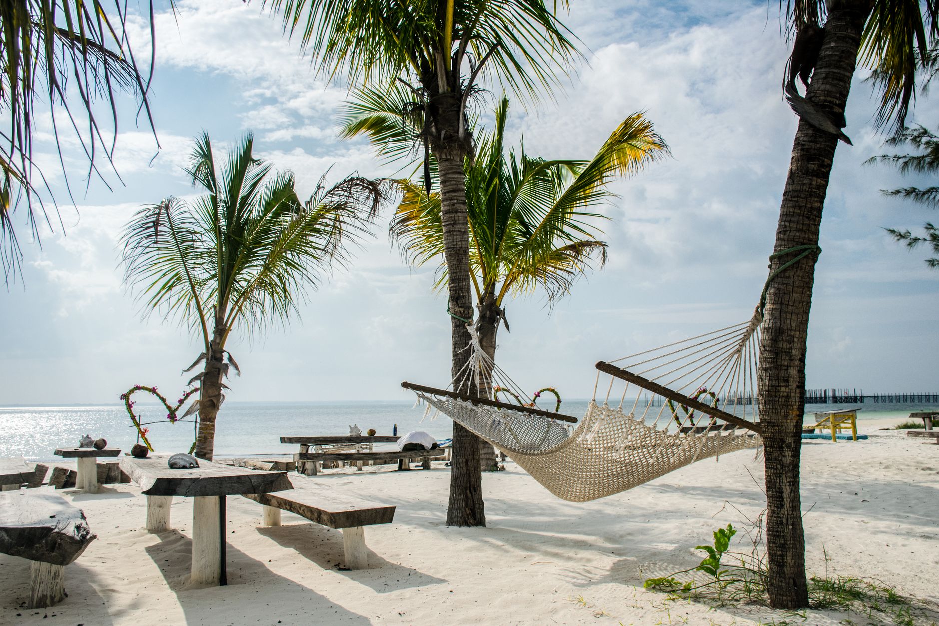 Serene beach scene with hammock, palm trees, and ocean view in Zanzibar, Tanzania.