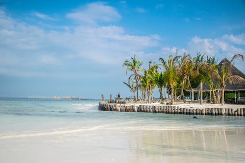 Δωρεάν στοκ φωτογραφιών με zanzibar, ακτή, θέρετρο