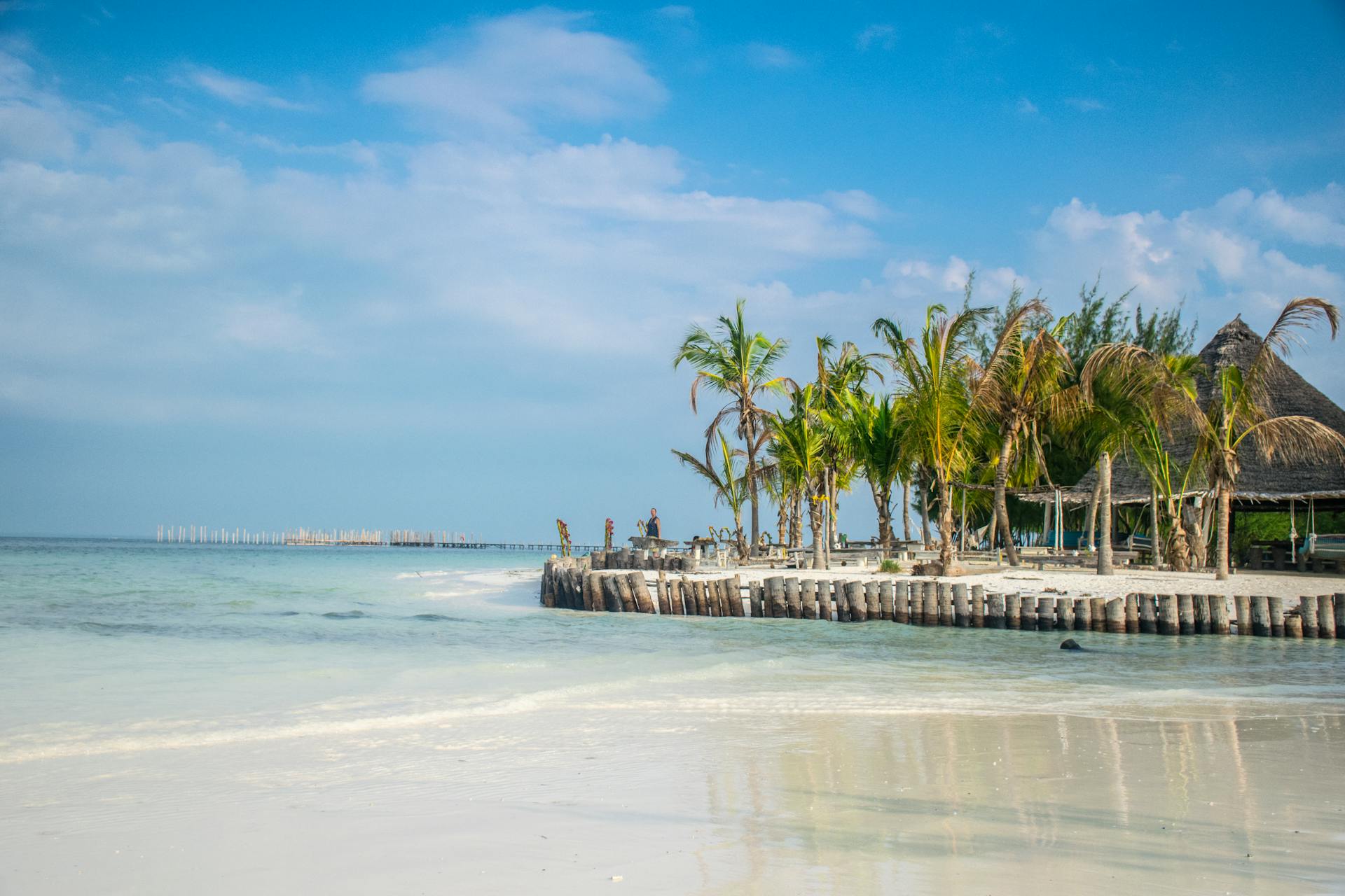 Serene tropical beach at Zanzibar with palm trees and clear blue skies.