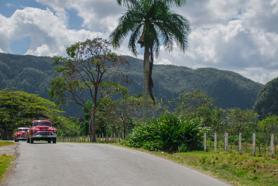 Peut-on vivre en Cuba sans parler anglais ?