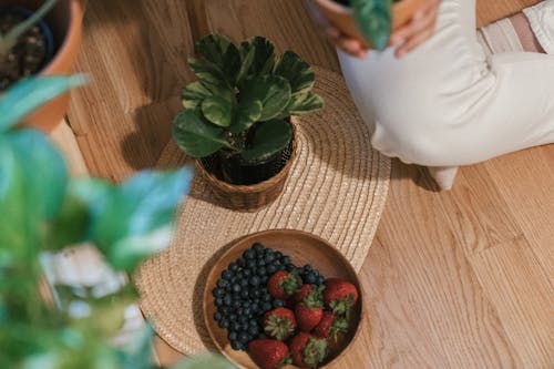 Free Photo of a Bowl of Fruits Beside a Green Plant Stock Photo