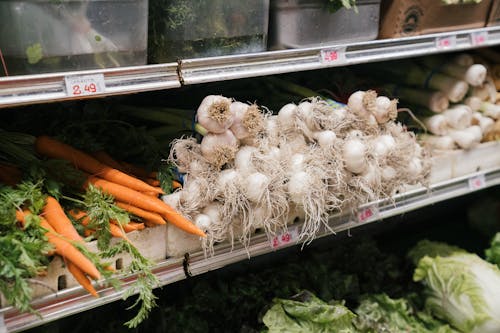 Fresh Carrots and Garlic in Vegetable Shelf