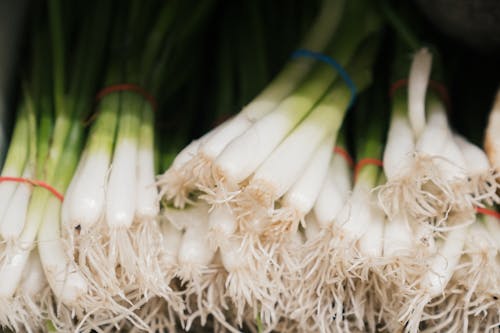 Paquetes De Cebolletas Frescas