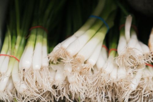Free Close-up of fresh organic green onions bunched and displayed, ideal for food and market themes. Stock Photo