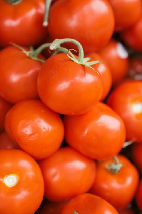 Close-Up Shot of Fresh Red Tomatoes