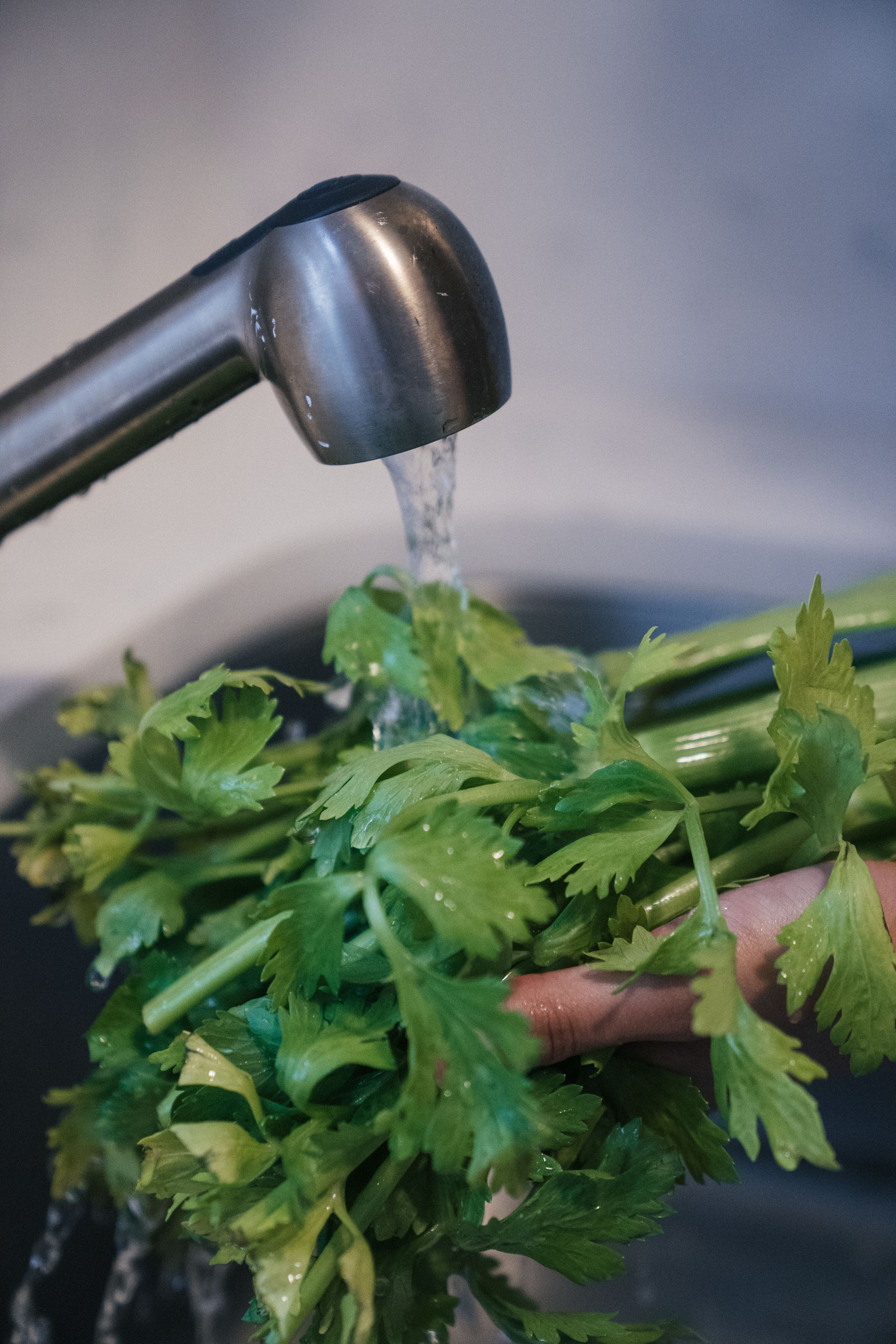 celery washing kitchen sink