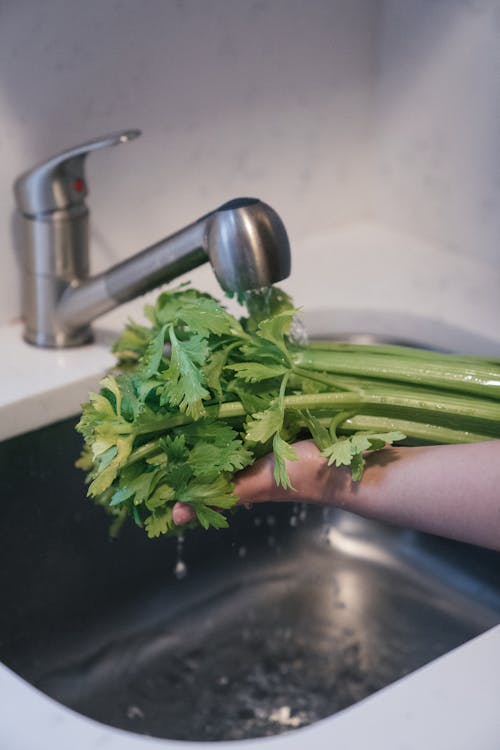 Free Close-Up Shot of a Person Washing a Fresh Parsley Stock Photo