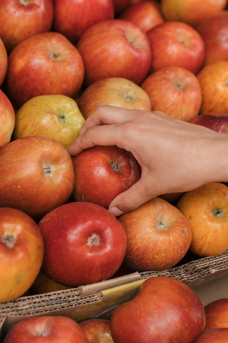 Person Picking An Apple 