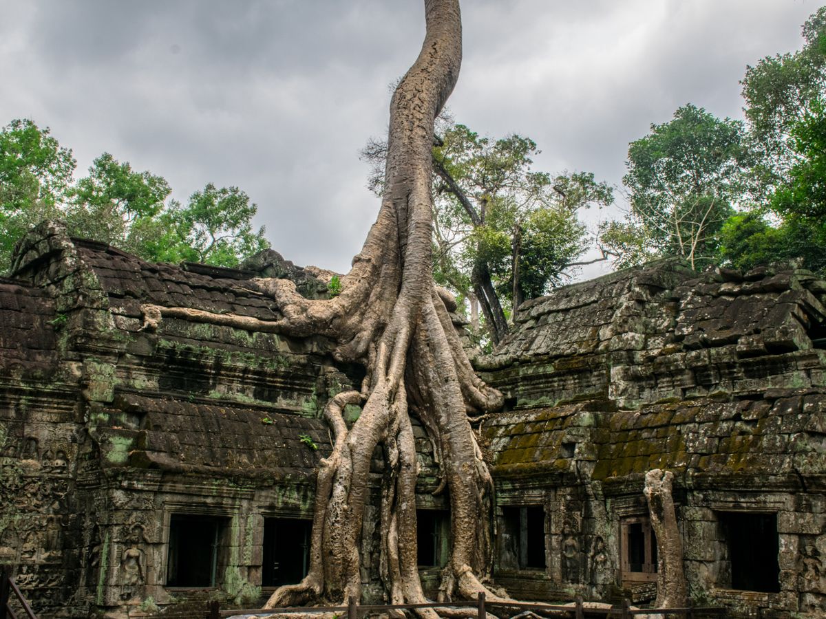 4 Day Martial Arts, Angkor Wat, Wellness & Adventure in Cambodia 1