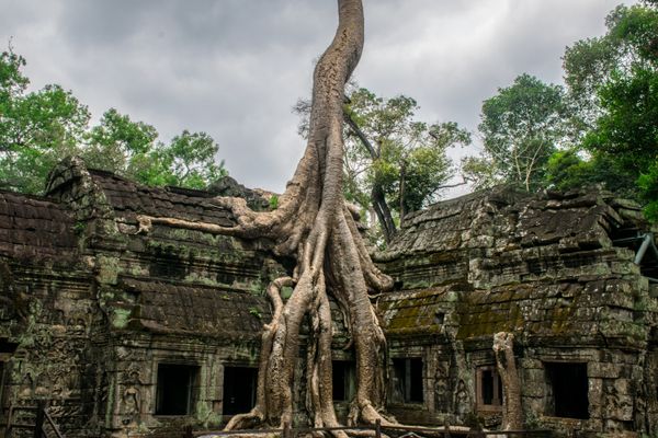Siem Reap