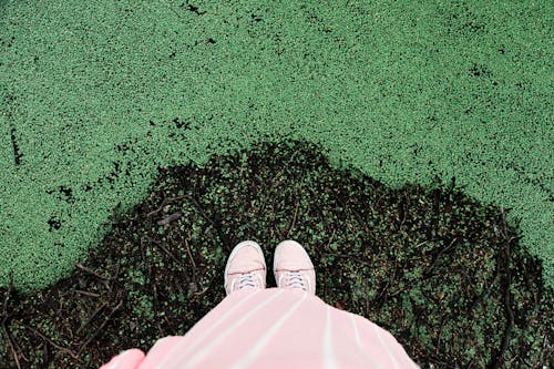 Person in Pink Sneakers Standing on Ground with Green Grass 