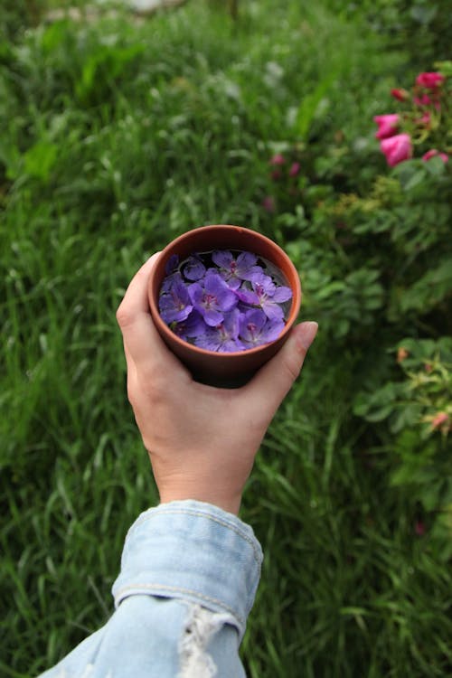 A Person Holding a Pot with Flowers