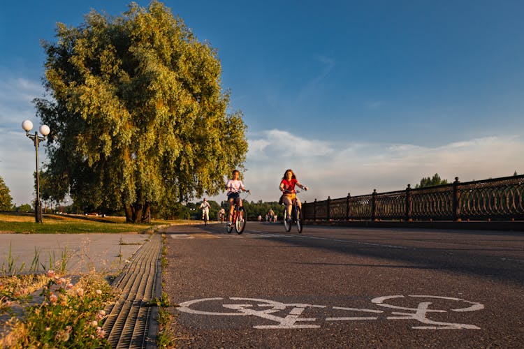 Children Riding On Bikes In Park