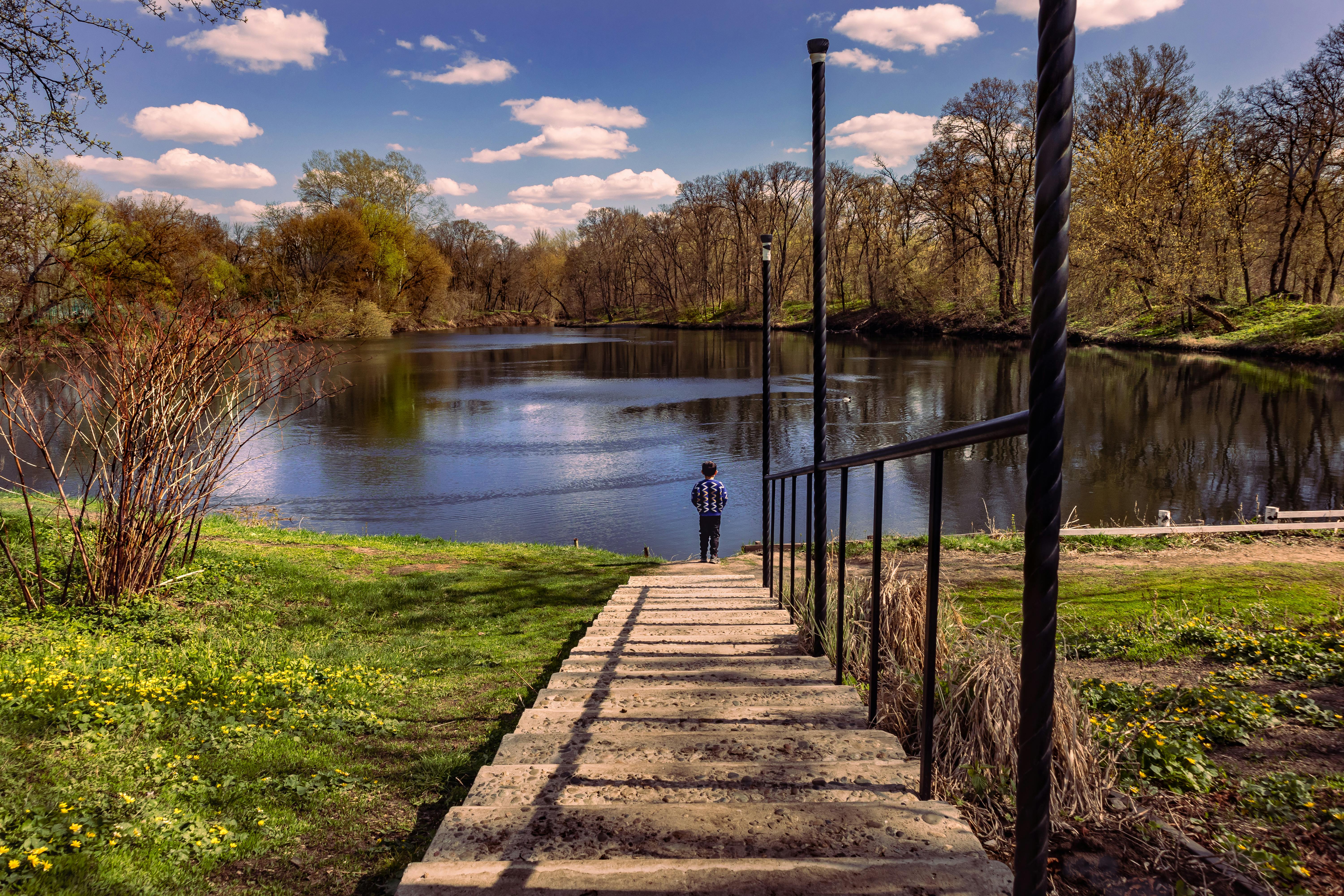 Peaceful park scene with a person by a calm lake surrounded by greenery and trees.