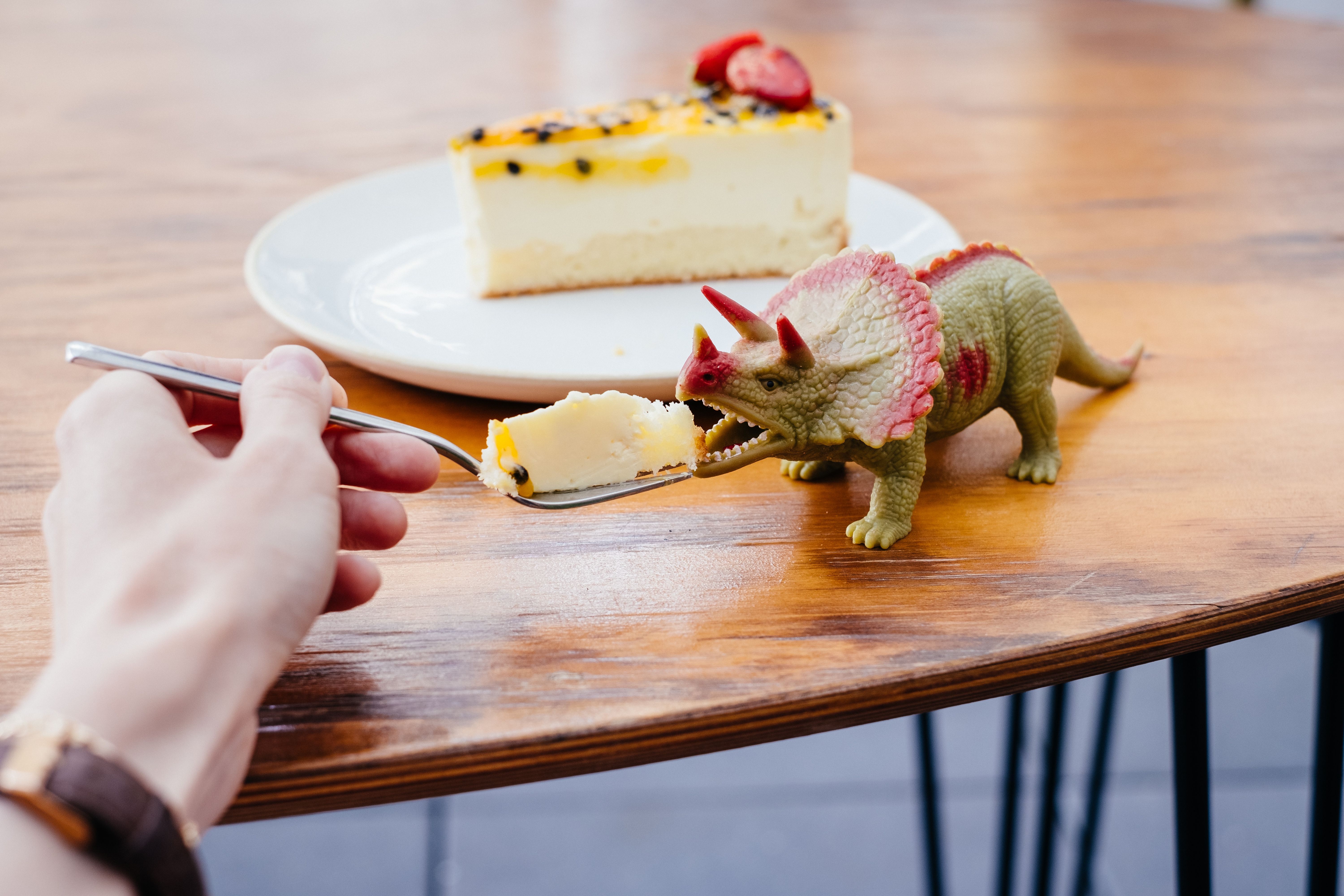 Free stock photo of cheesecake, dinosaur Stock Photo