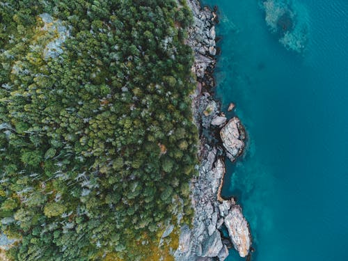 俯視圖, 土耳其藍, 岩石海岸 的 免费素材图片