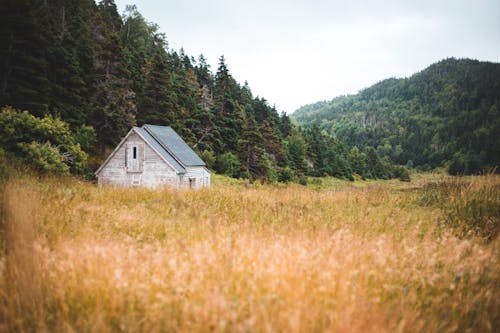 Free Wooden House on Green Grass Field Stock Photo
