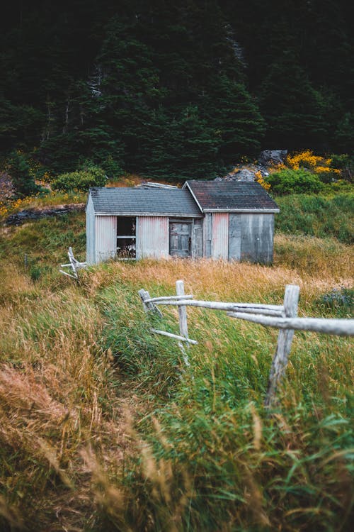 An Old Wooden House on the Middle of Green Grass Field