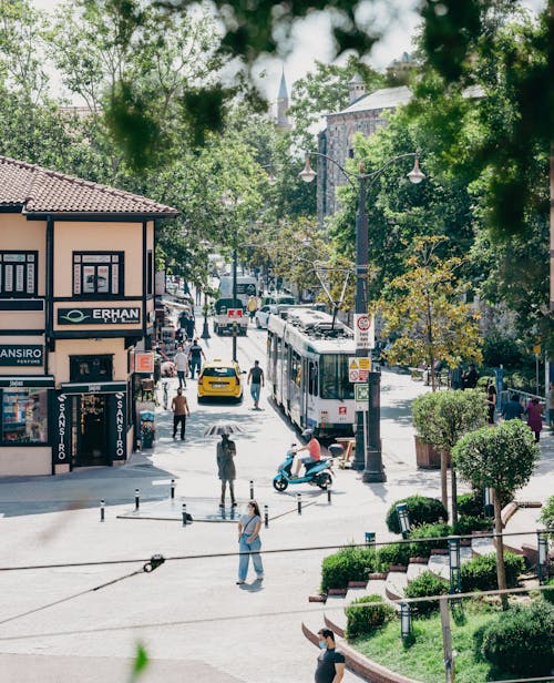 People Walking on Street with Vehicles