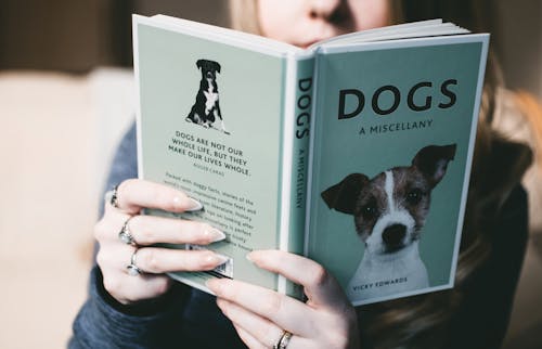 Free Woman Holding Dogs a Miscellany Book Stock Photo